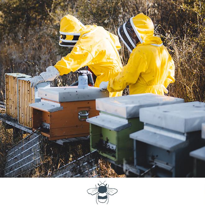 Bee Keeping at I Borghi Dell Eremo