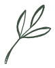 Sage