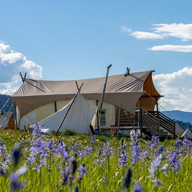 Under Canvas West Yellowstone