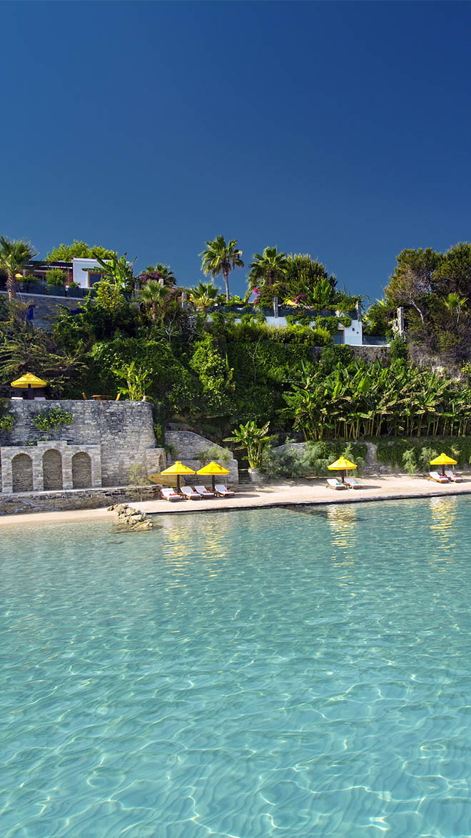 porto zante reviews